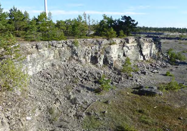 Branter I branter med strukturer kan fåglar häcka, fladdermöss hitta boplatser och växter få fäste.