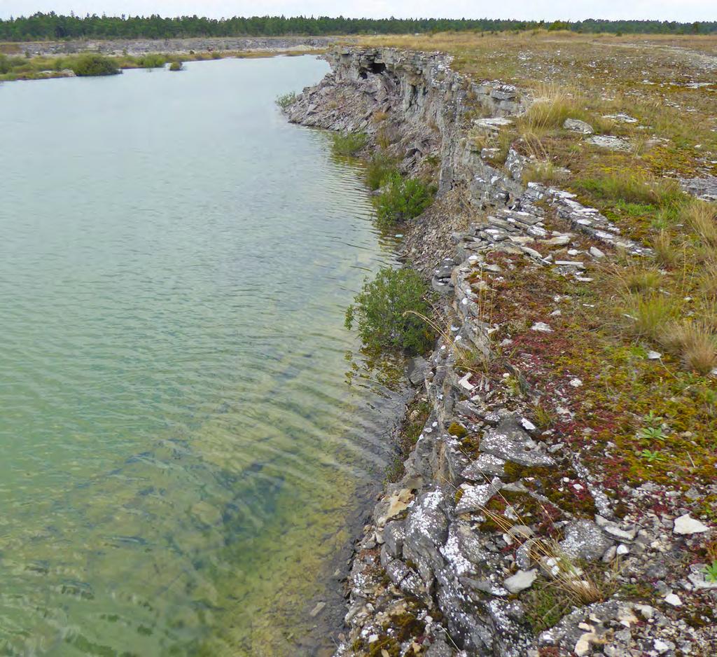 Vattenmiljöer Vattenmiljöer är bristvara i landskapet.