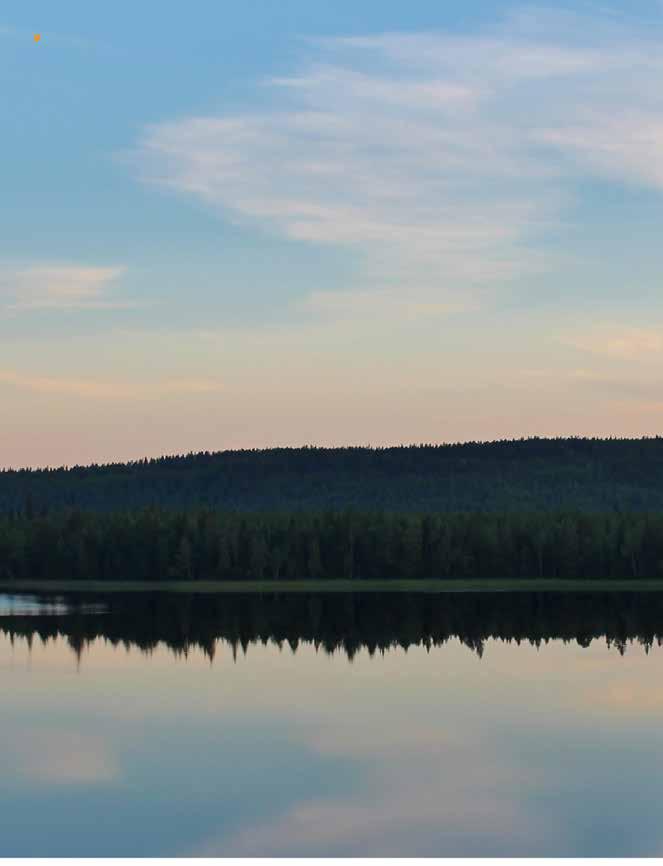 PITE ÄLV VÅRA VÄRDERINGAR KUNDNYTTA Våra kunder ska ha nära till hela