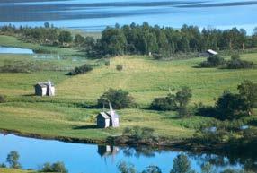 utökad betesmarksersättning, nötkreaturstöd utom till mjölkkor och vallersättning enbart i slättbygderna.