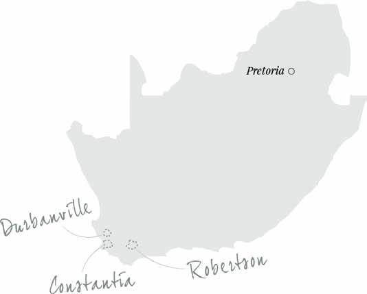 Sydafrika Nya Världen? Det känns nog som ett slag i ansiktet på denna nation som producerat vin sedan mitten av 1600-talet.