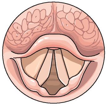 Larynx Tunga