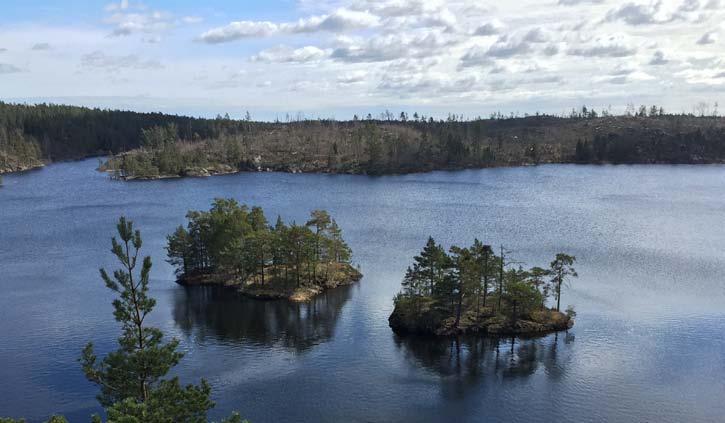 Stensjön med brandområdet i bakgrunden.