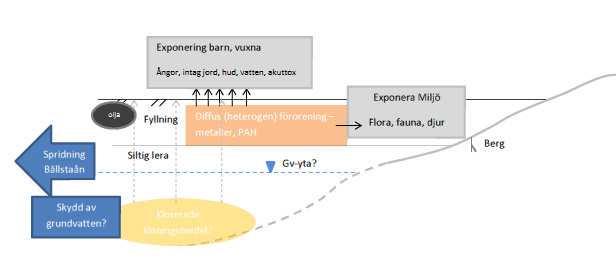 de mest sannolika eller viktigaste mekanismerna eller transportvägarna är för till exempel upptag i organism eller för föroreningsspridning, (3) Vilka exponeringsvägar som är viktiga och skall