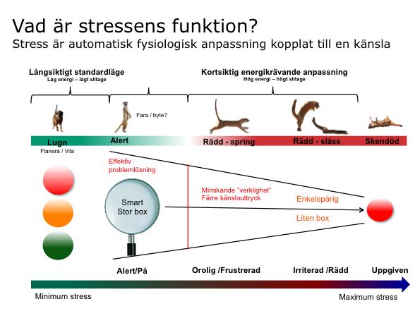 Allmänt om stress Vardagsbeskrivningen av att vara stressad brukar vara att vi har för mycket att göra eller att vara virrig eller nervös. Stress är mycket mer än så.