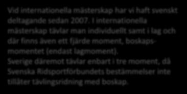 KORT HISTORIK Working Equitation (WE) är från 2009 den 8:e officiella grenen inom Svenska Ridsportförbundet.
