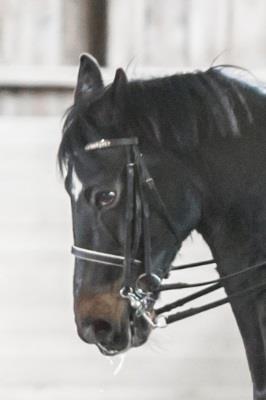 Klädsel ska, förutom ridbyxor och ridstövlar/ridskor med klack, bestå av en kombination av en långärmad tröja/skjorta och väst, alternativt en tröja/skjorta och ridkavaj/annan åtsittande jacka.