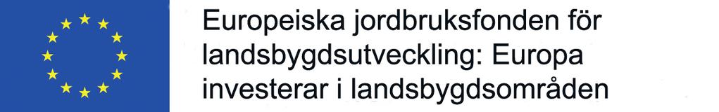 Under projektets gång stod det klart att det är viktigt att alla i styrelsen tar ansvar och verkligen