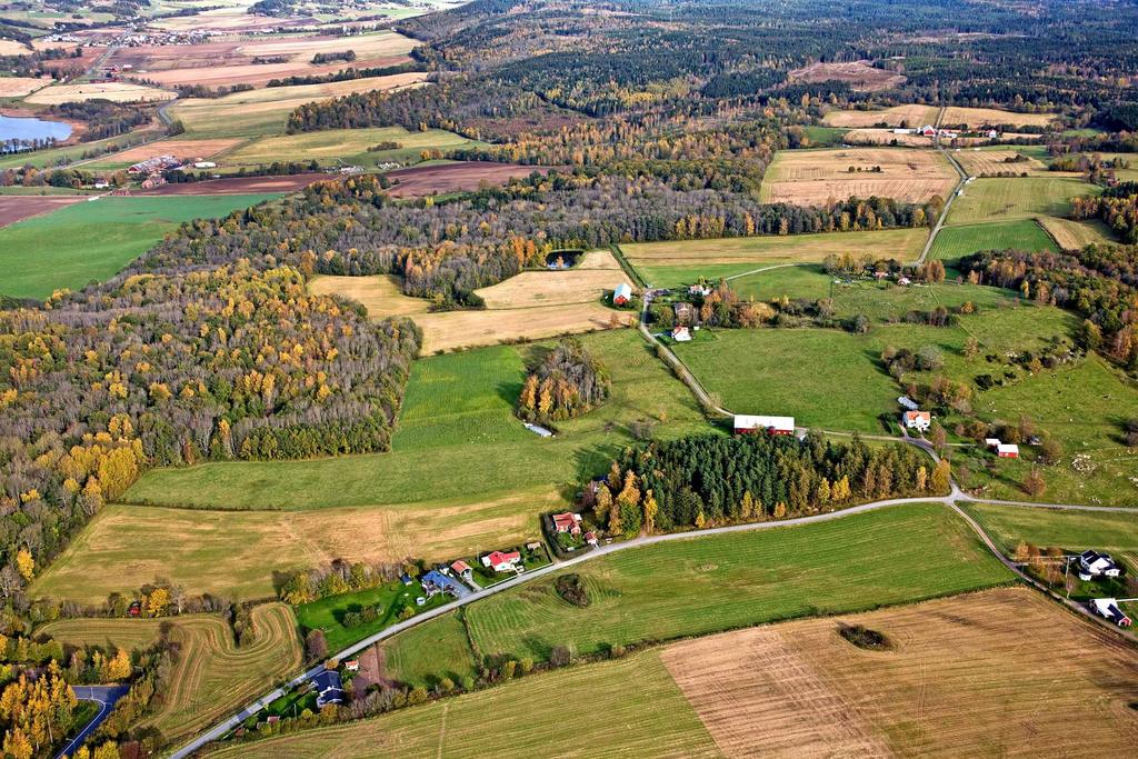 Denna är en idéskiss för hur röjnings och hamlingsvirke från betesmarker kan ge fjärrvärme och bli ett sätt att begrava koldioxid genom att producera biokol.