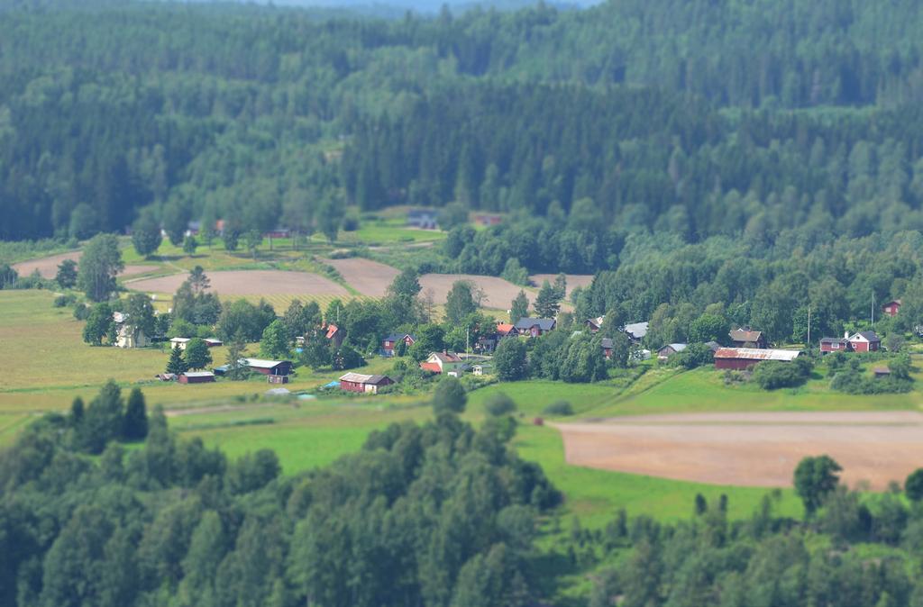 Vi har en hållbar ekonomi, där vi använder våra gemensamma resurser på ett ansvarsfullt sätt.