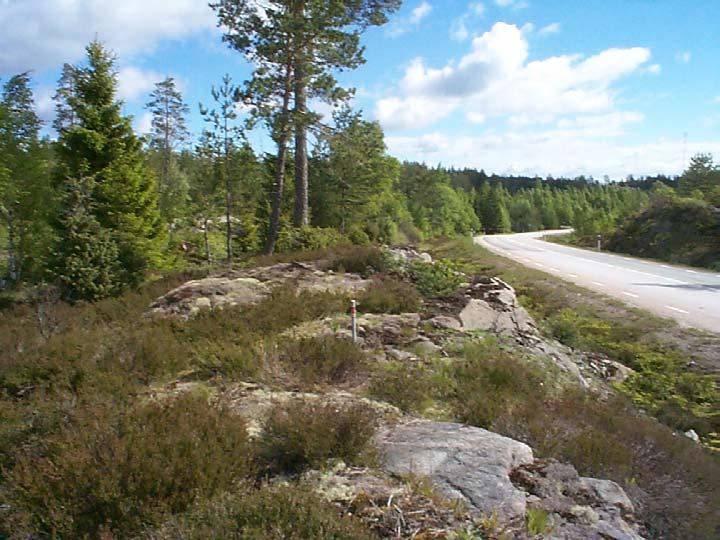 F Björnebacken Björnebacken Detta är en punkt av karaktären Rix 95. Punkten ligger längs väg 164 norr om Edsleskog, väl synlig och bra markerad.