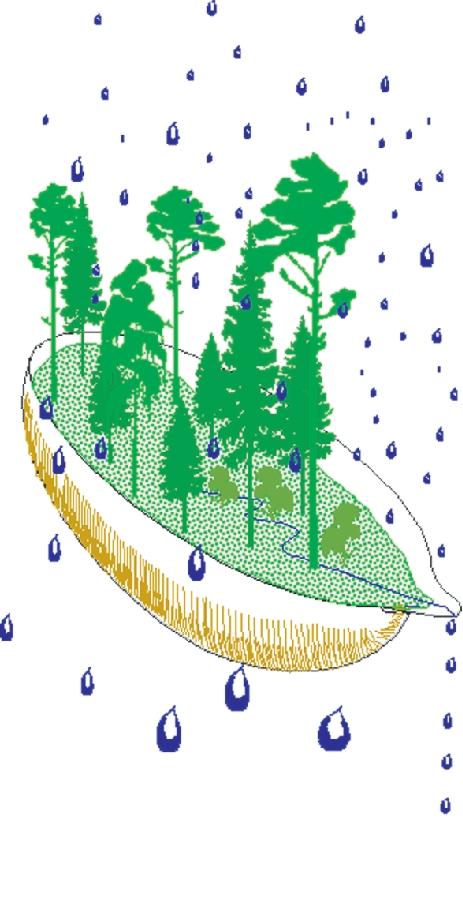 environmental status in Swedish forest ecosystems IM Summary report for