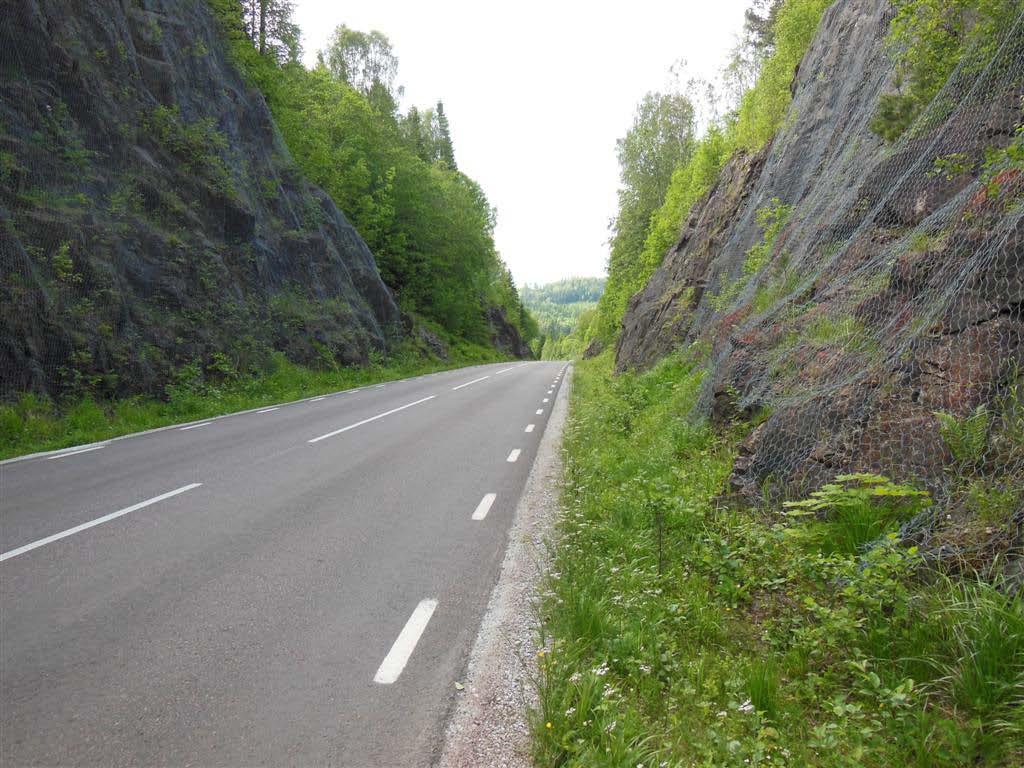 Högvuxen vegetation Längs sträckan förekommer bl.a. akleja, hökfibblor, gullris, midsommarblomster och mjölke.