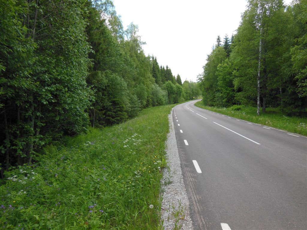 Dvärglummer