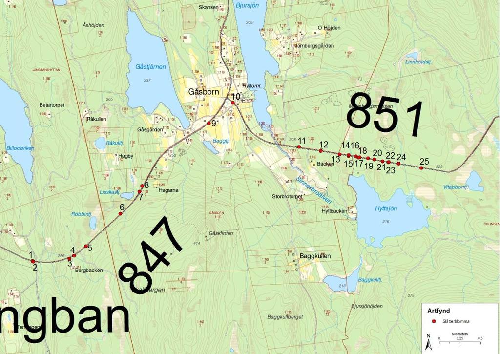 51
