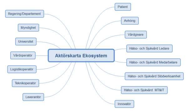 9(11) I gruppen Aktörer finns de som genomför aktiviteter och Patient/Anhörig samt Vårdgivare är tämligen självskrivna.