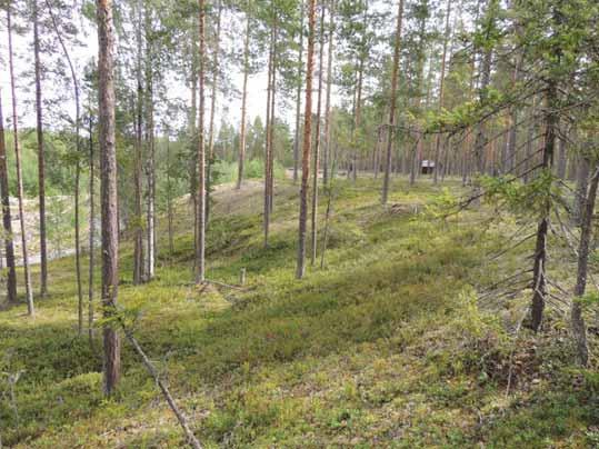 26 2012:441-443 Dito Härd Fr S Härd, 3 stenpackning 2012:444-447 Raä 378, Fynd Fr S Fynd av bultlås 4 Hortlax sn 2012:448-449 Raä 378:1,