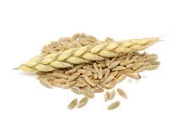 Fiber och fullkorn Fullkorn finns i spannmålsprodukter och kan vara både hela korn och korn som har krossats eller malts till fullkornsmjöl.