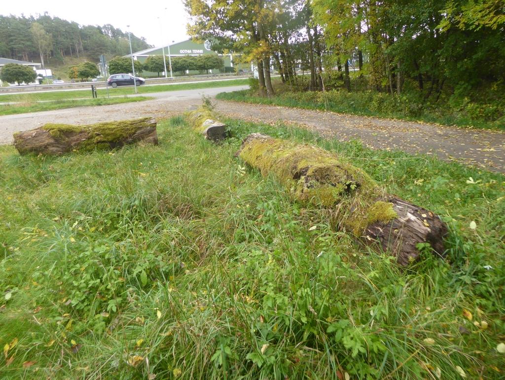 Grimbo (6402606, 146365) Ett drygt tjugotal grova stockar upplagda runt parkeringsplatser vid Grimbo bågskyttebana. Stockarna är relativt gamla, barklösa och mossbelupna.
