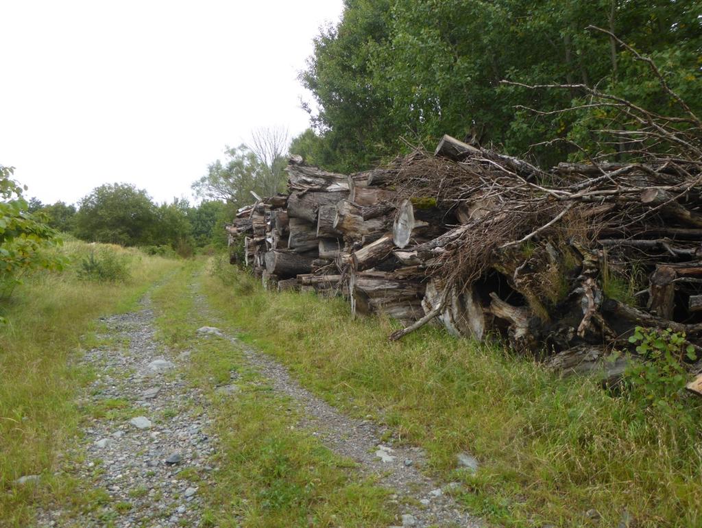 Årekärr (6385760, 148001) I två stora, höga travar längs skogsväg och ridstig i en dalgång i västra kanten av det stora sammanhängande skogsområdet Sandsjöbacka, i anslutning till Årekärrsvägen,