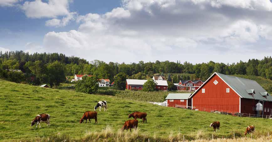 2 ALFING Produktion Med småländsk klurighet in i framtiden Alfing i Älmhult AB