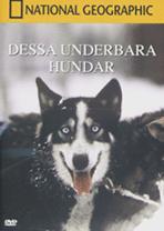 Övrigt DVD nr 320