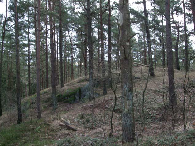 Uppdrag och undersökningsområde På uppdrag av Stadsbyggnadskontoret, Göteborgs stad, har Naturcentrum AB inventerat häckplatser och lämpliga häckbiotoper för duvhök, sparvhök, tornfalk och stenknäck