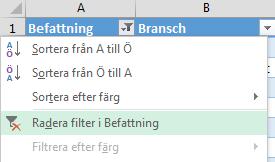 Om du har fler än ett filter applicerat på din tabell så kan du ta bort alla filter genom att klicka på menyfliken DATA och välja att klicka på knappen Ta bort.