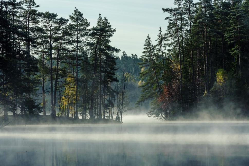 Resultat: Utvalda bilder för