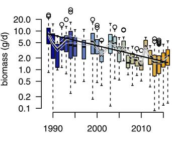 Biologisk mångfald Fig 2. Temporal distribution of insect biomass.