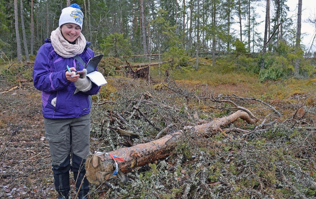 Figur 3. Substratmed potentiella naturvärden markerades med snitslar och GPS positioner togs.