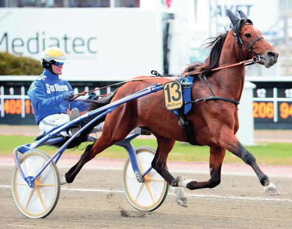 LOPP Photo Va Bene () vann från spets senast, men går från de flesta positioner utom dödens. Formen är bra och inte så långt från den formen hästen hade när han var trea på V i Årjäng.