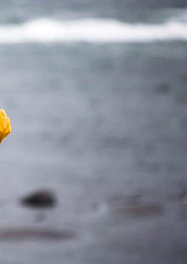 Havet är i rörelse, vinden väntar inte på