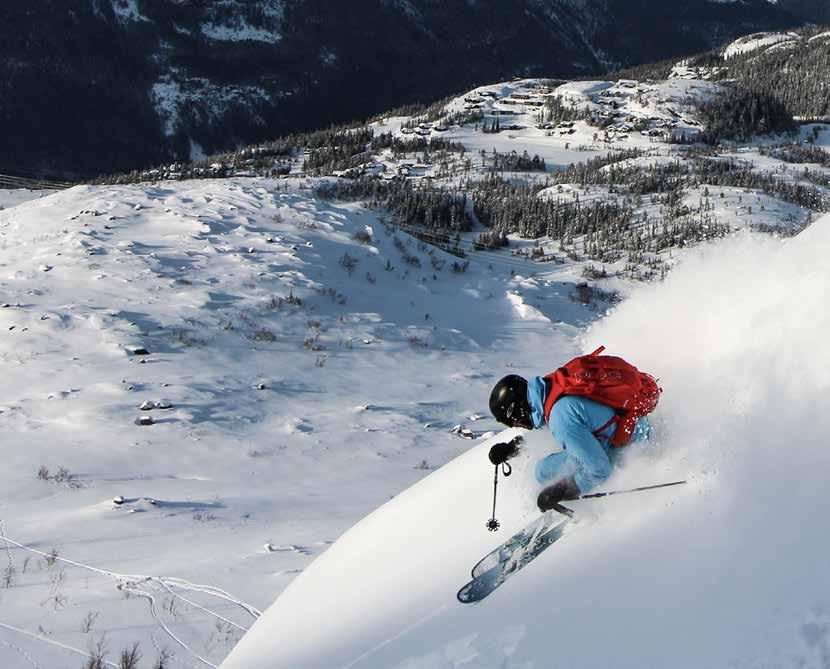FJÄLLSÄKERHETSRÅDET Med riskmedvetande i fokus en studie av svenska skid- och snowboardåkare med