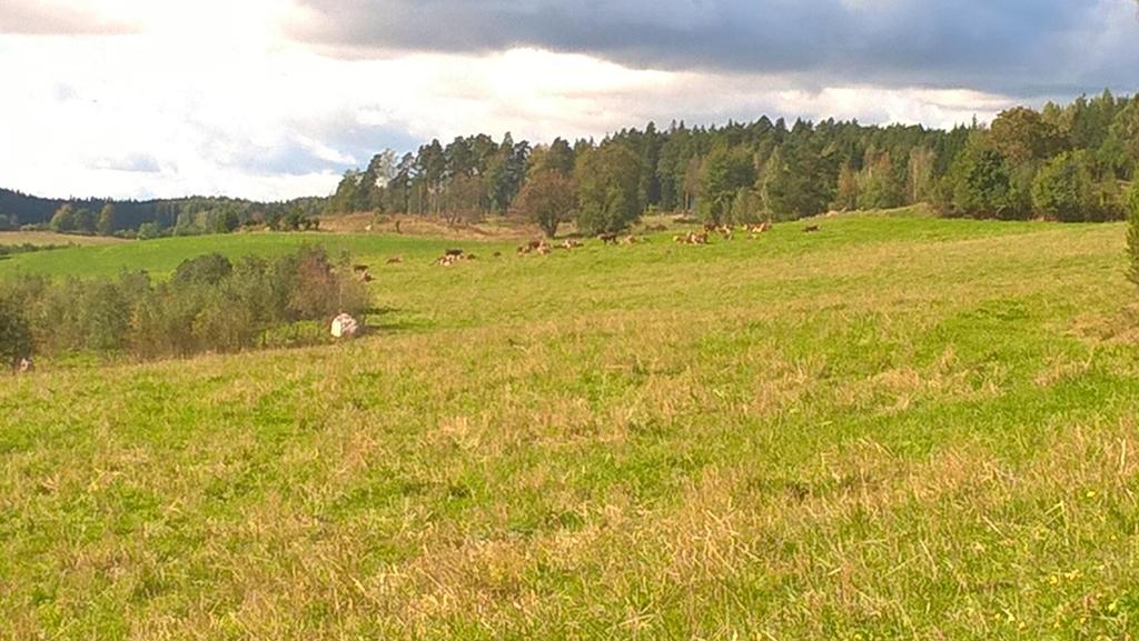 Statistik, miljöersättningen Odlarna gjorde en femårig förbindelse för miljöersättningen vid ansökan år 2015.