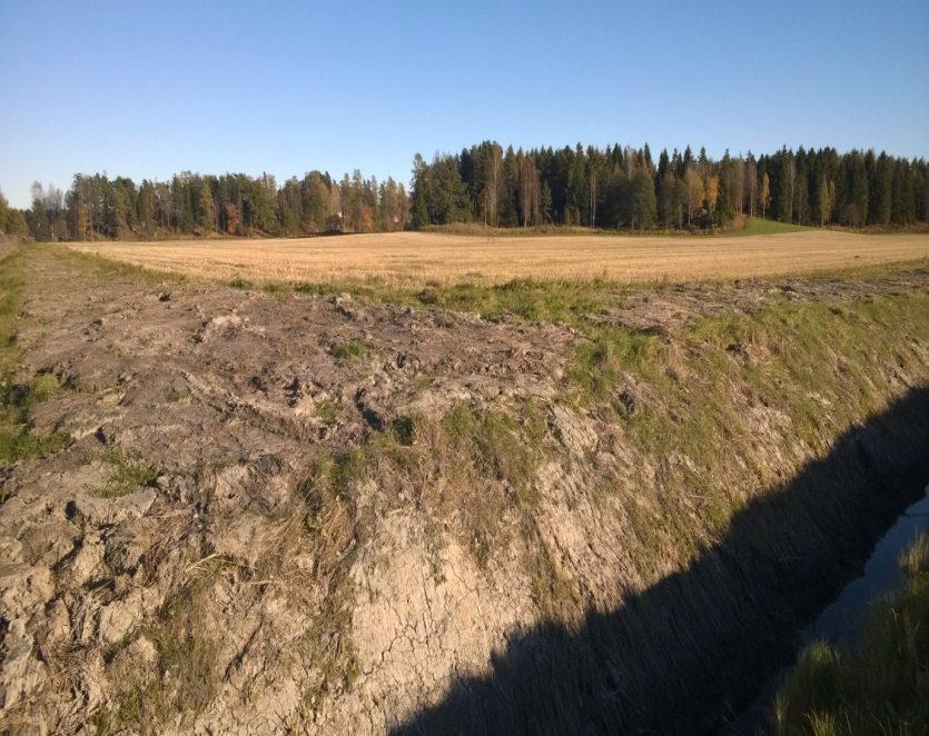 Dikesrenen ska förnyas