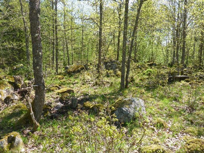 Område K2_3 Naturvärdesklass 4 Ekskog Blockrik kulle med senvuxen klen ek. Gott om lav på ekarna. En del ängsflora noterades på kullen, tex smultron, violer, vicker och frylen.