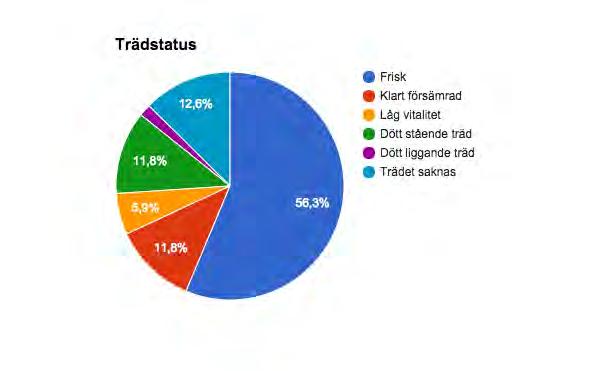 Fig 6 Visar andelen träd av olika status. 56,3% av träden i området bedöms vara friska. 11,8% av träden har klart försämrad vitalitet. 5,9% av träden har låg vitalitet.