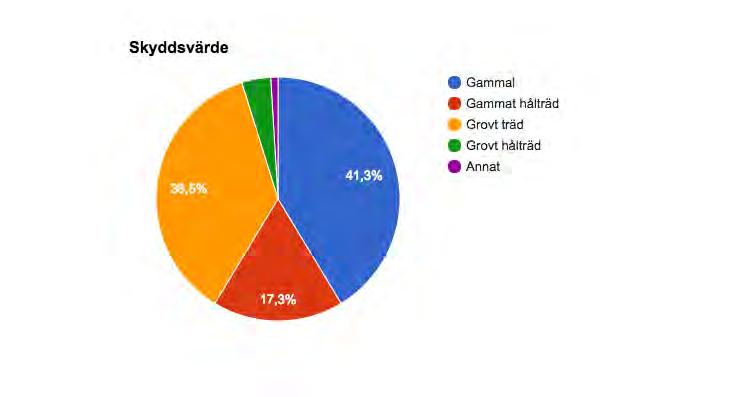 Fig 5 Visar andelen träd med olika typer av skyddsvärden. 41,3 % var gamla träd, 36,5% var grova, 17,3 % var gamla hålträd, 3,8% var grova hålträd. Totalt var 21,1% av träden hålträd.