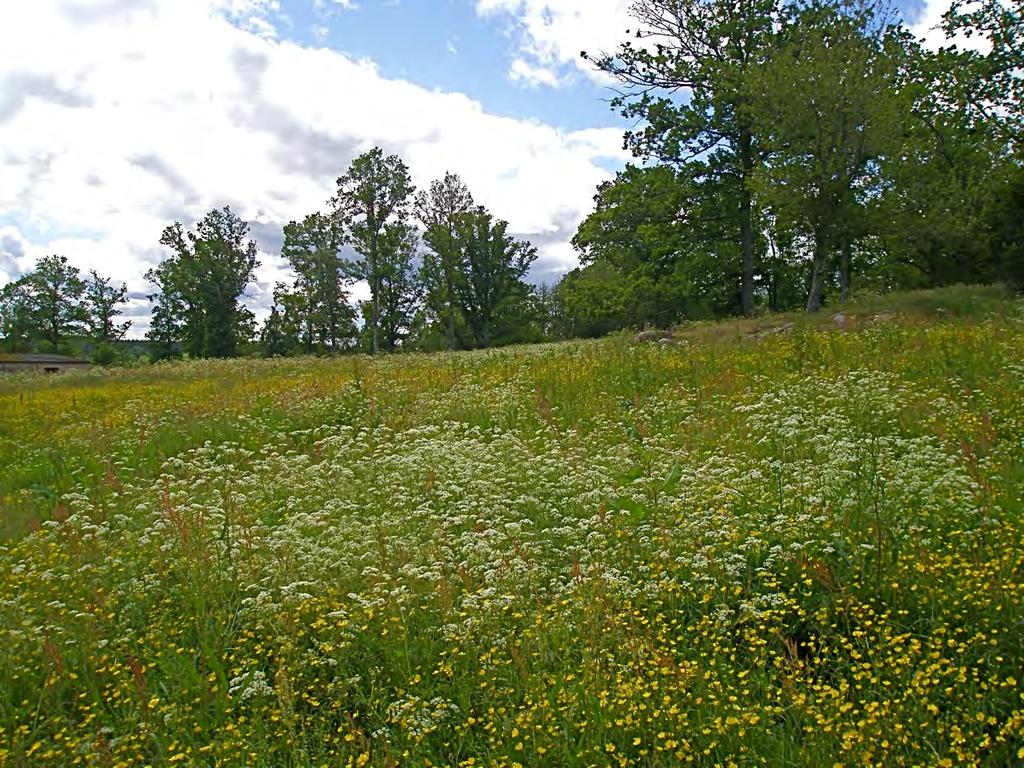 9 5. Naturvärdesobjekt Appendix 1 (se även delområden, karta 2, 3) Objekt id (delområde) 1 Betesmark Kulturbetesmark Grunt ytskikt med lera (finsediment och block) Frisk typ Naturvärdesklass 4