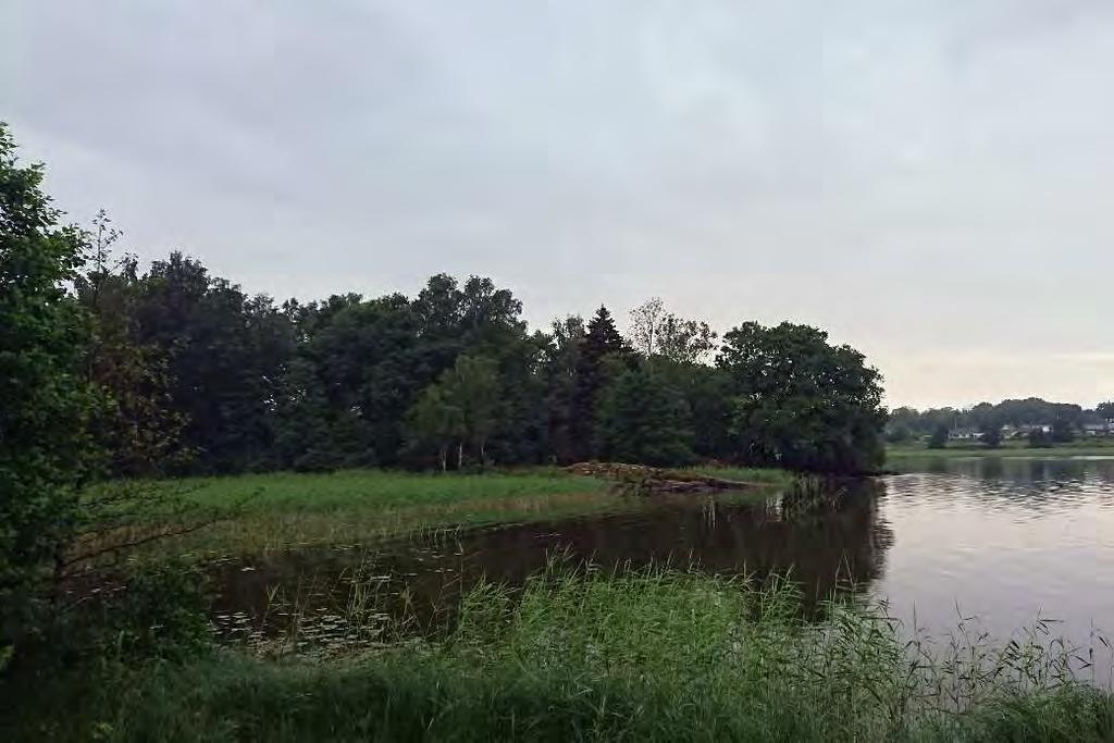 ID: 160705-4 Skog och träd, Sekundär triviallövskog, klibbalkärr NV-Klass: 3 NR: 7 Koordinater: 6472910-341874 Areal: 2 ha Triviallövskog med ädellövinslag på udde i sjön Vassbotten.
