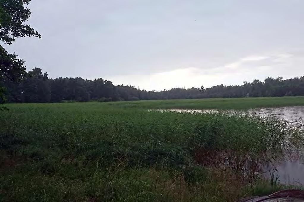 Översiktlig beskrivning av området Inom området har totalt tio så kallade naturvärdesobjekt identifierats och avgränsats. Samtliga är klassade med naturvärdes klass 3, påtagligt naturvärde.