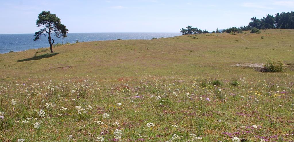 och Vitemölla strandbackar utbredning, hot