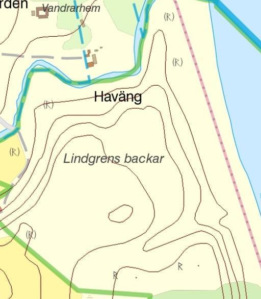 På den gräsbevuxna heden växte backtimjan, sandnejlika, hedblomster och på vissa platser fältsippa (figur 2).