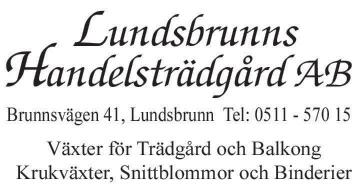 Varför inte