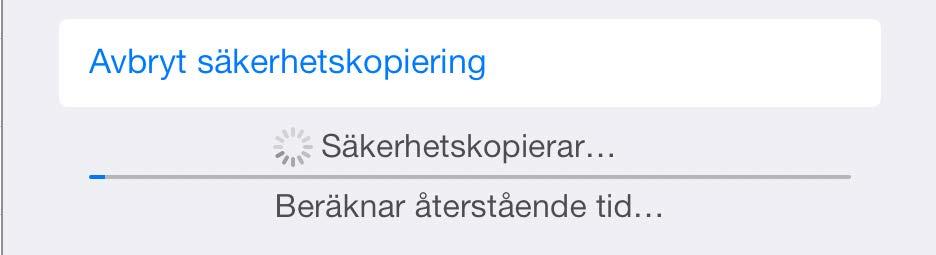 sedan på Säkerhetskopiera nu enligt;