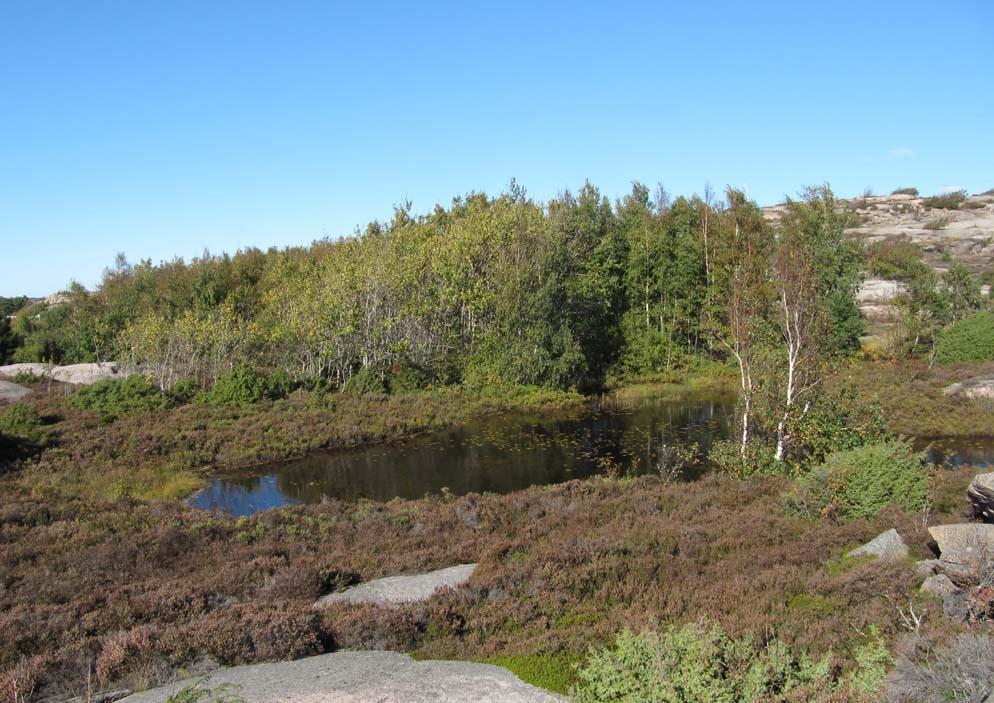 9 Nordväst om den naturligt bildade dammen