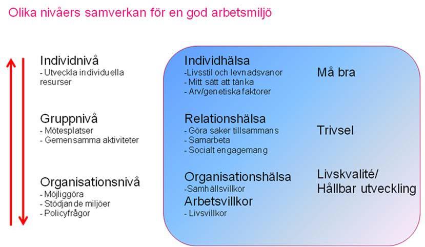 förbättra det systematiska arbetsmiljöarbetet på organisationsnivå för en tydligare styrning av arbetsmiljöarbetet.