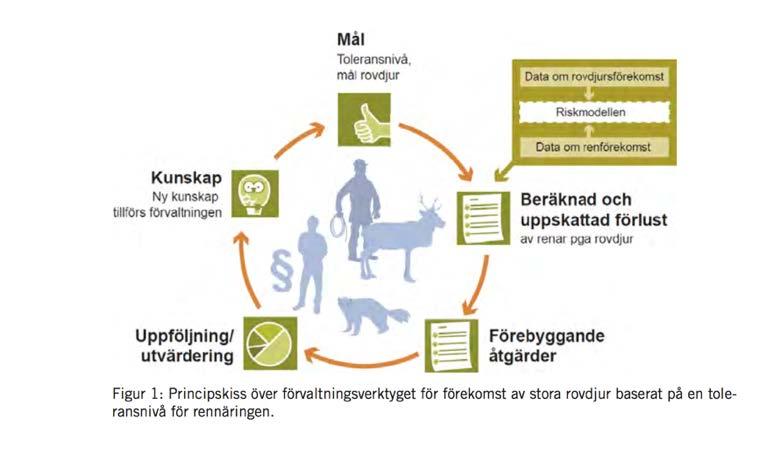 Arbetet med regeringsuppdraget att ta fram förvaltningsverktyget genomfördes av Sametinget och Naturvårdsverket tillsammans med en gemensam styrgrupp, bestående av medlemmar som representerade