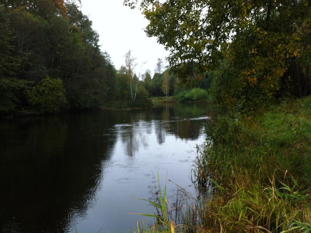 Sammanfattning Inventeringsfiske med strömöversiktsnät utfördes i vattendragen Gavleån (MQ 21 m 3 /s) och Testeboån (MQ 11,7 m 3 /s) från Juni till Oktober 2012 samt Februari till September 2013.